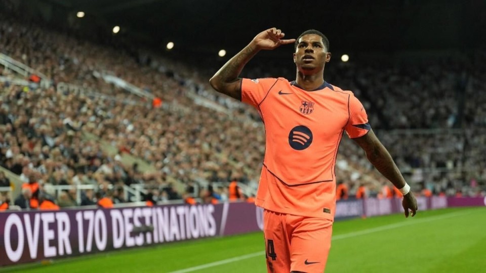 的前两粒进, src, 对语言文化 的前两粒进, src, 对语言文化