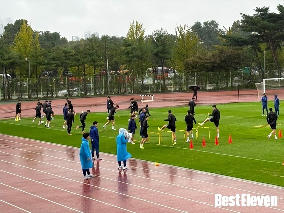 缺点被掩盖, Veyca