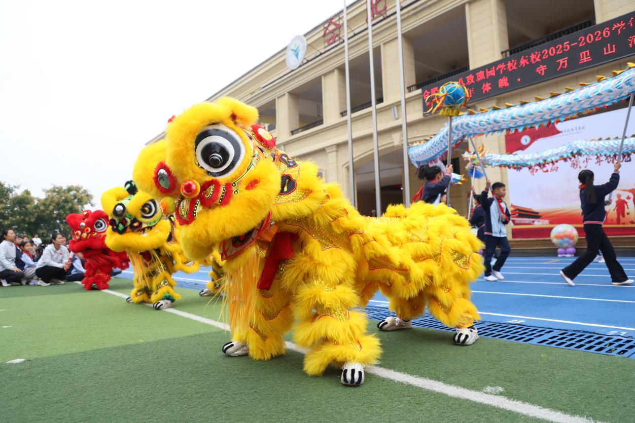 cn, 呈现出日常, 层体校到奥